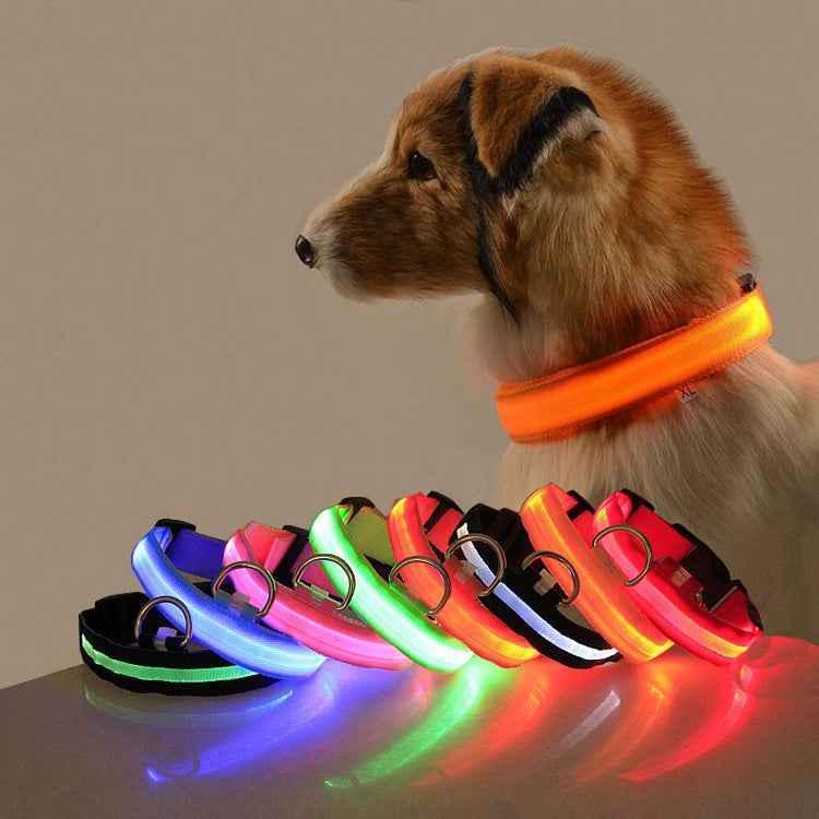 LED Safity Hundehalsband